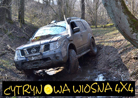 Cytrynowa Wiosna u Melnika VII