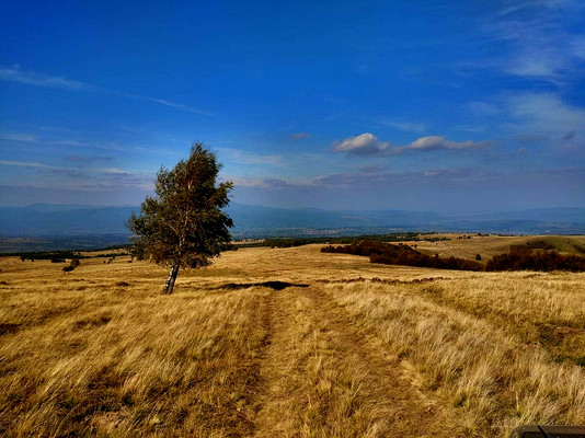 XXXI Maramuresz Classic jesień 2023