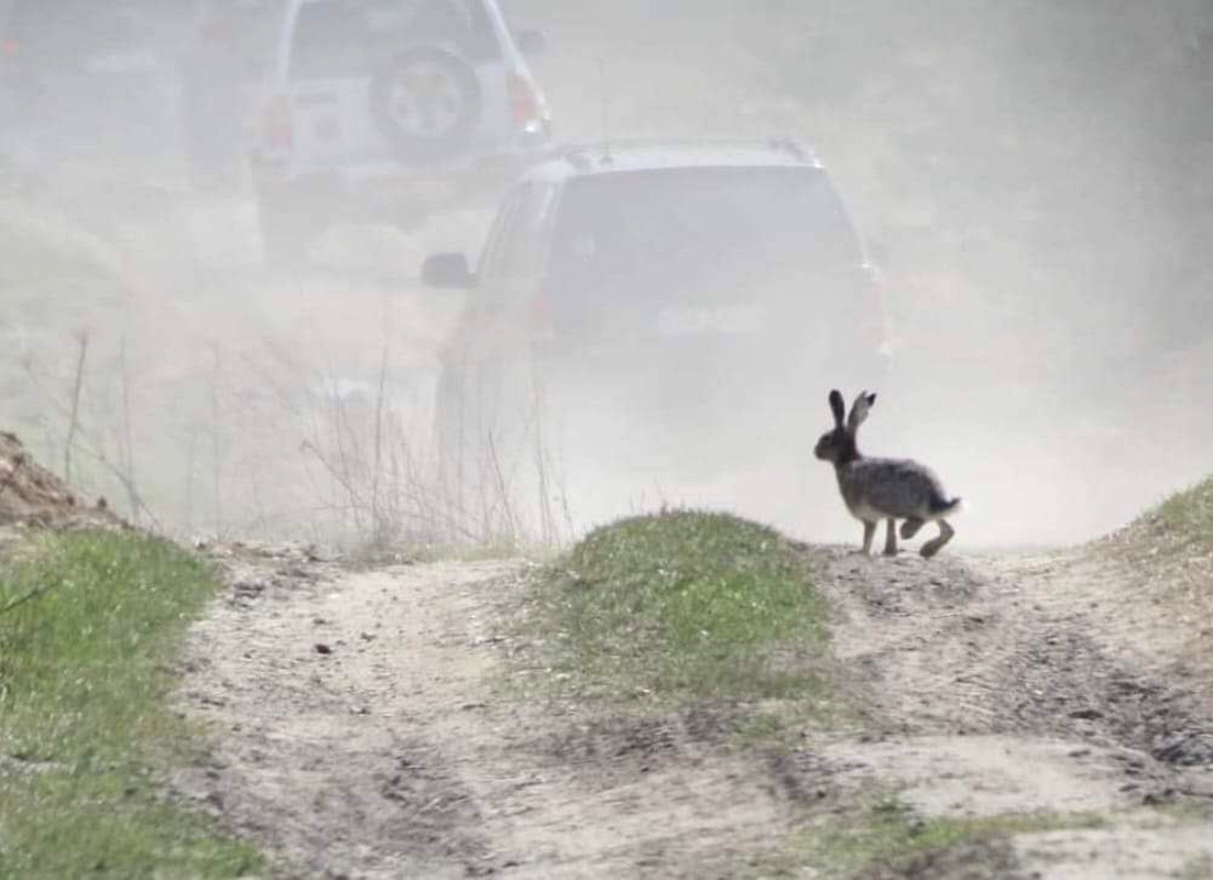 W Poszukiwaniu Wiosny