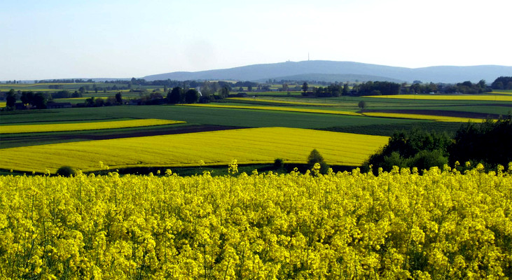 Weekend czerwcowy na Camp4x4