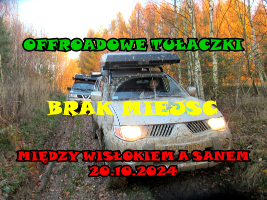 Między Wisłokiem a Sanem.