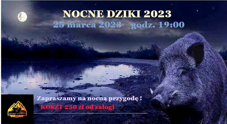 Nocne dziki 2023