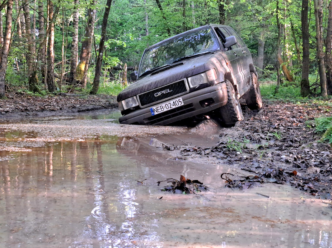 Las Deszczowy Trophy