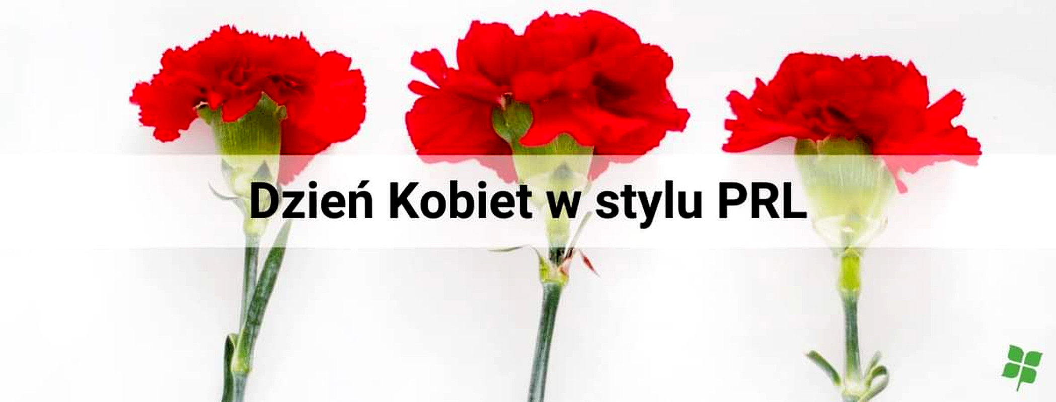 Borne Sulinowo Czyli Czołgiem Na Dzień Kobiet