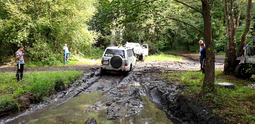 Śladami nadwarciańskiego bobra