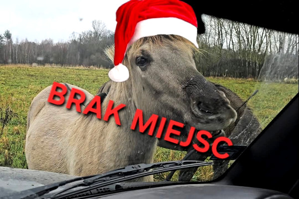 Świateczna wycieczka