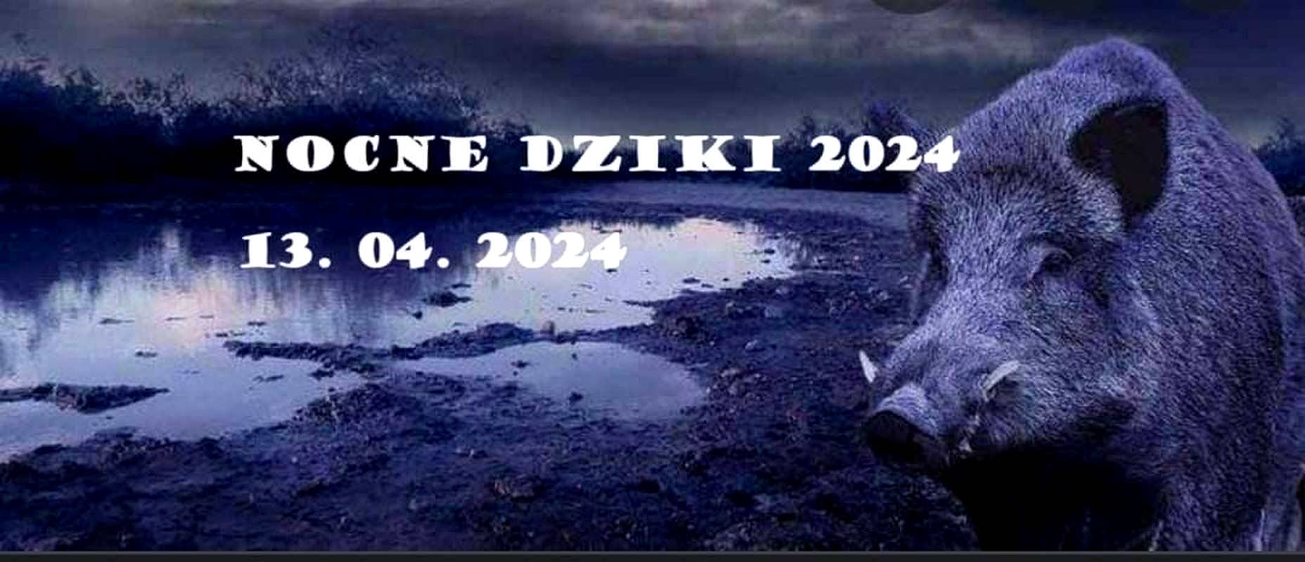 Nocne Dziki 2024