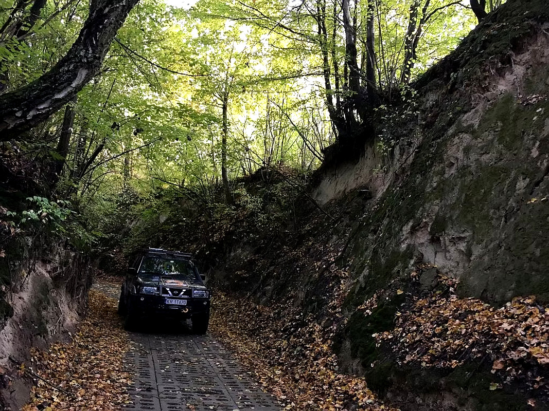 Kazimierskie Wąwozy Kraina Lessy