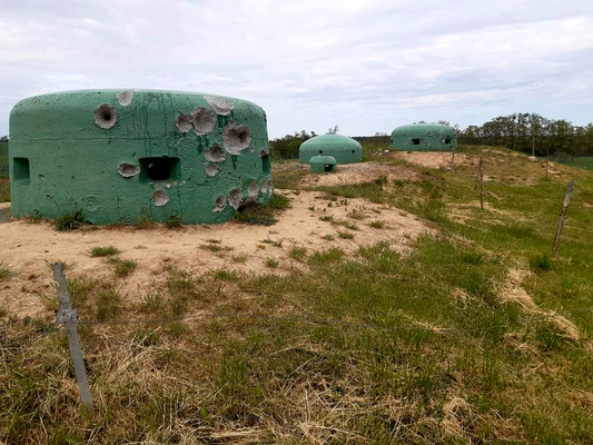 Wyprawa Szlakiem Fortyfikacji Międzyrzeckiego Rejonu Umocnionego Skwie