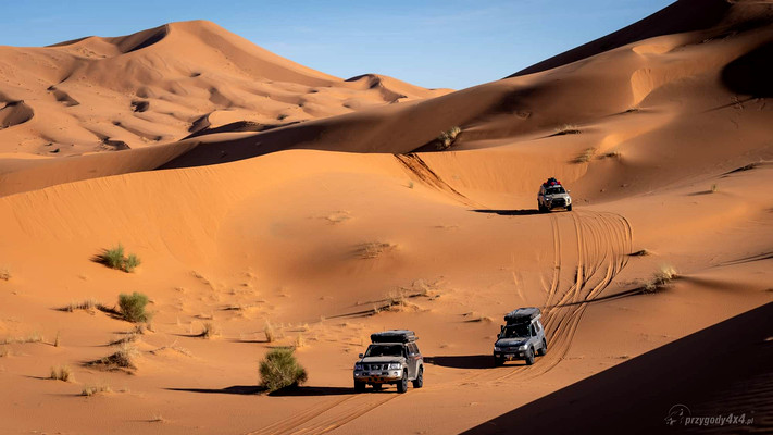 MAROKO - TYLKO DLA WYJADACZY!