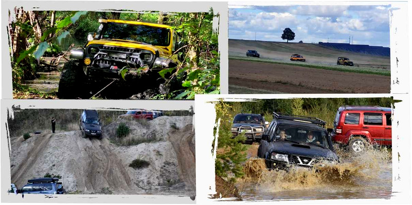 Śladami nadwarciańskiego bobra