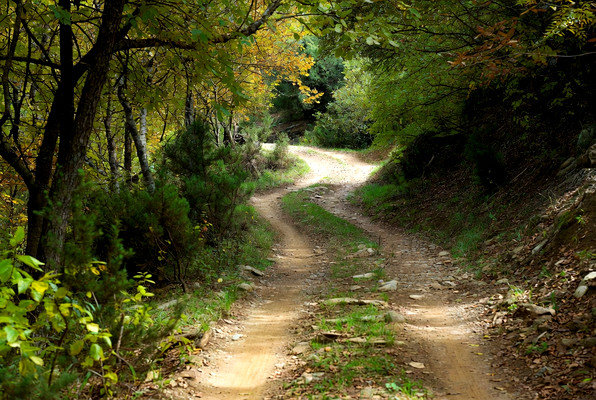 Śląska Wyprawa Offroadowa