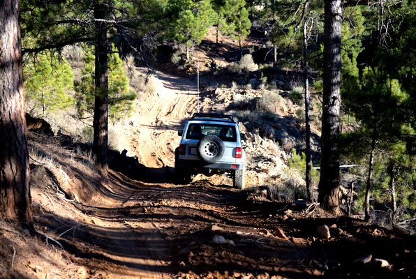 Integracja 4x4 Mazowsze vol.2