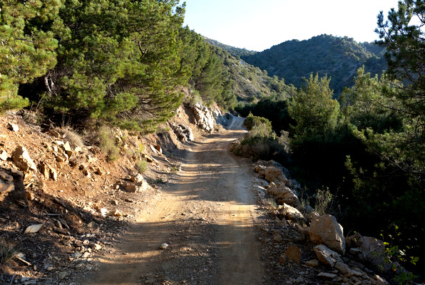 Offroadowy Dzień dziecka 4x4