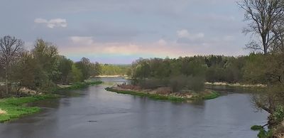 Śladami nadwarciańskiego bobra