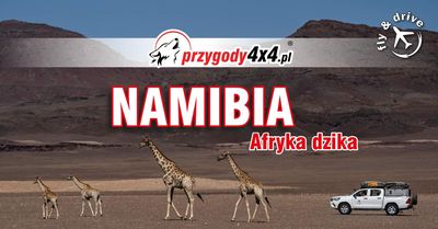 Namibia - Afryka dzika