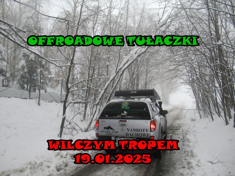 Wilczym Tropem.