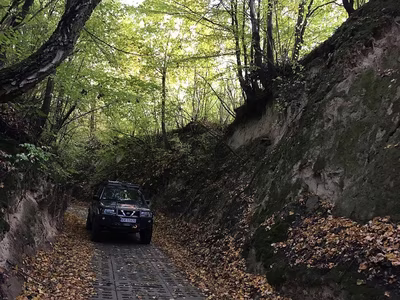 Kazimierskie Wąwozy KRAINA LESSY