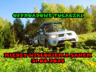 Między Wisłokiem a Sanem.
